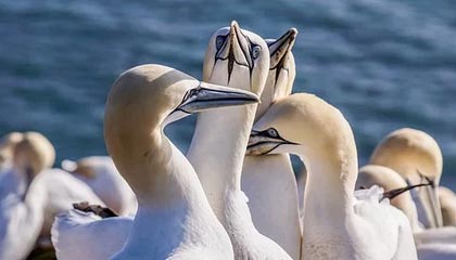 9体育-体育文化展引入非遗项目丰富内容，体育类的非遗项目