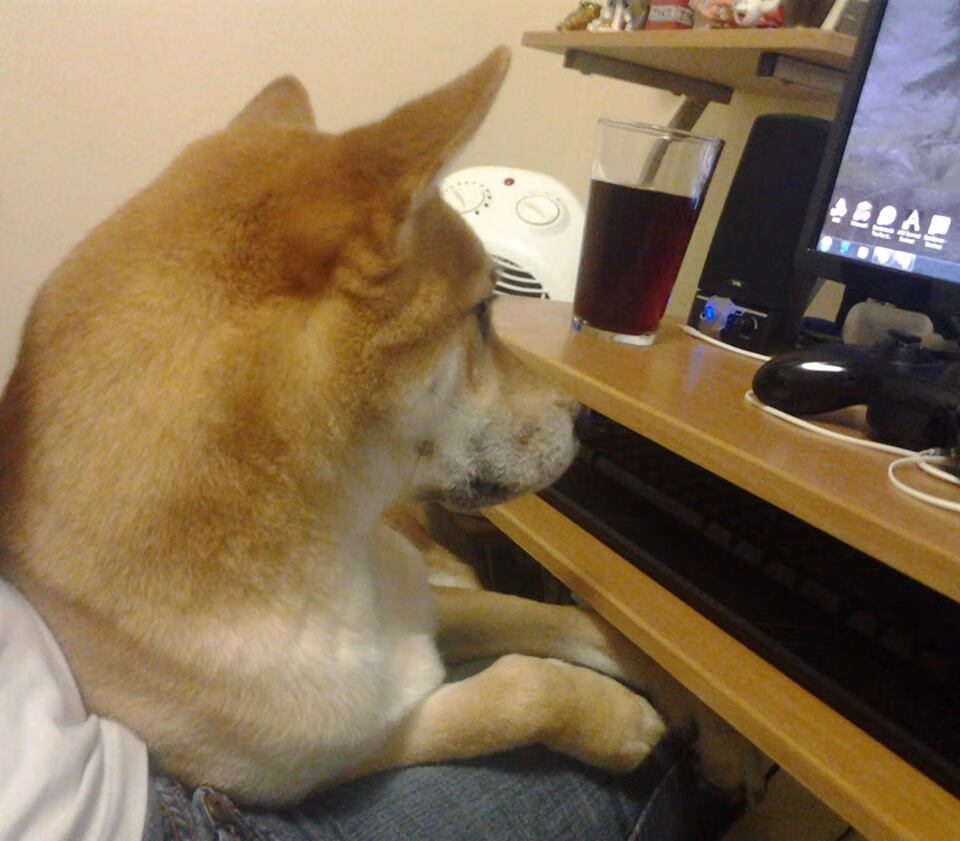 足球裁判电子口哨系统测试通过实战验证,足球裁判吹口哨