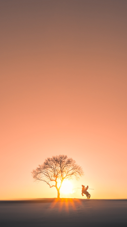 女足联赛激战正酣，竞争激烈，女足比赛现场