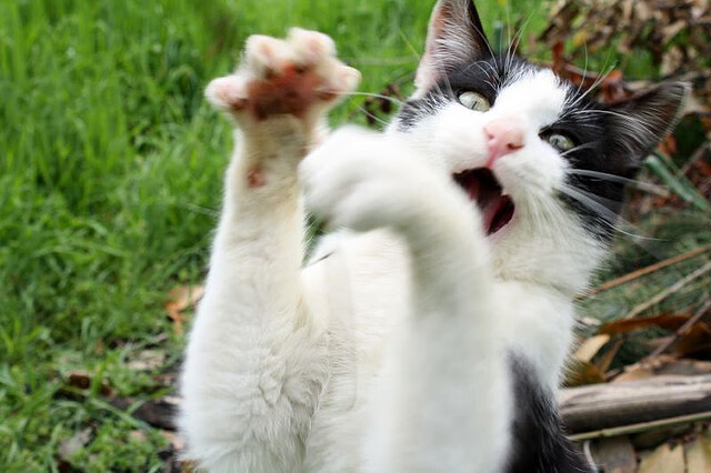 中超球队防守转进攻线路可视化图，中超球员转会规则