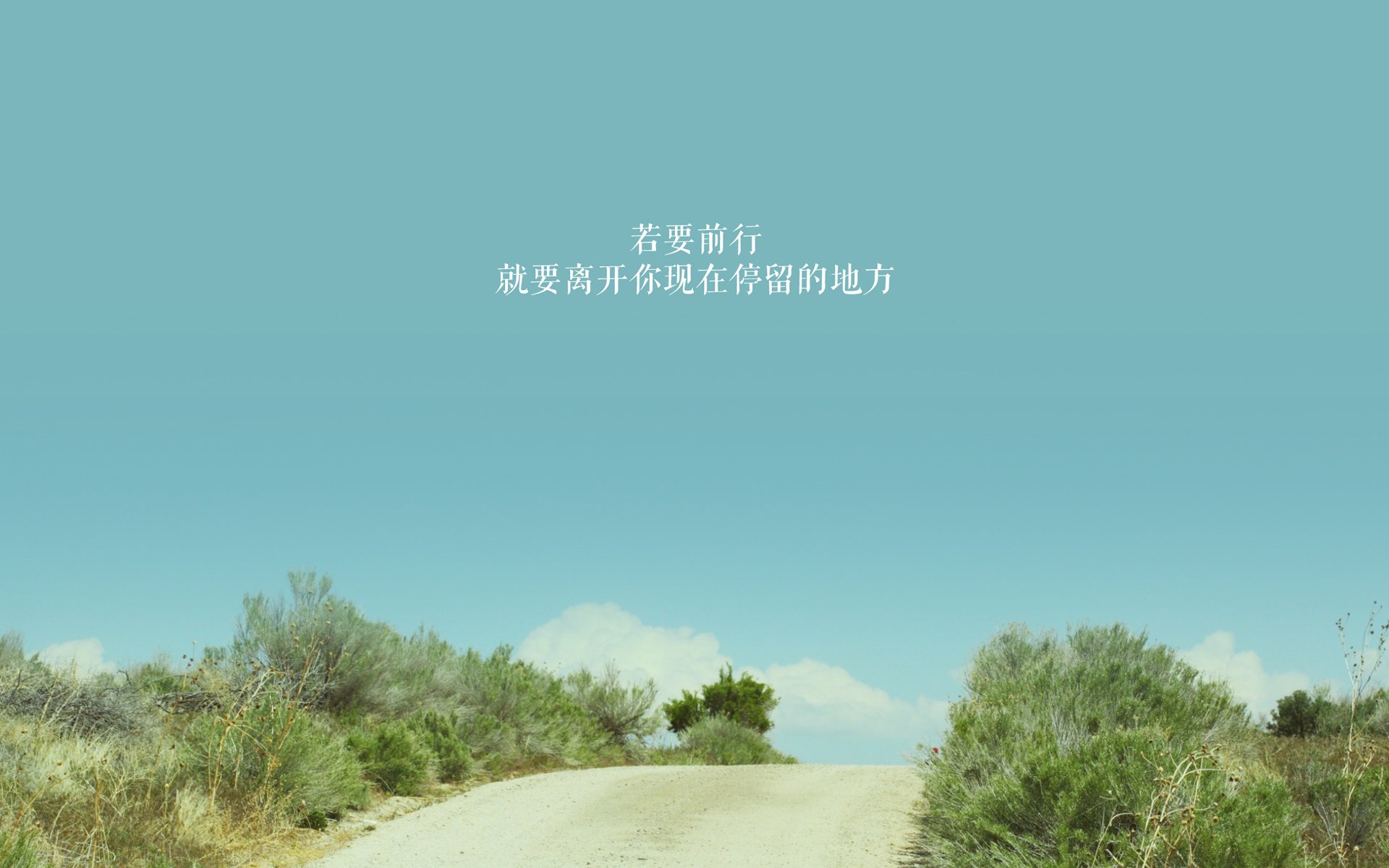 中国女篮连续取得胜利 球迷热情高涨，中国女篮赢球