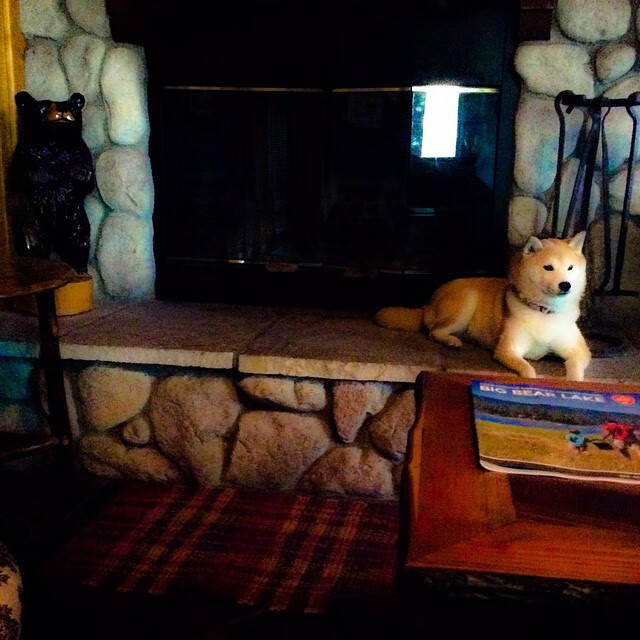 九游娱乐-五大联赛最具创造力的前腰球员全面盘点，五大联赛最具创造力的前腰球员全面盘点是谁