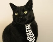 体测智能系统接入中小学每日运动打卡平台，学生体质测试app